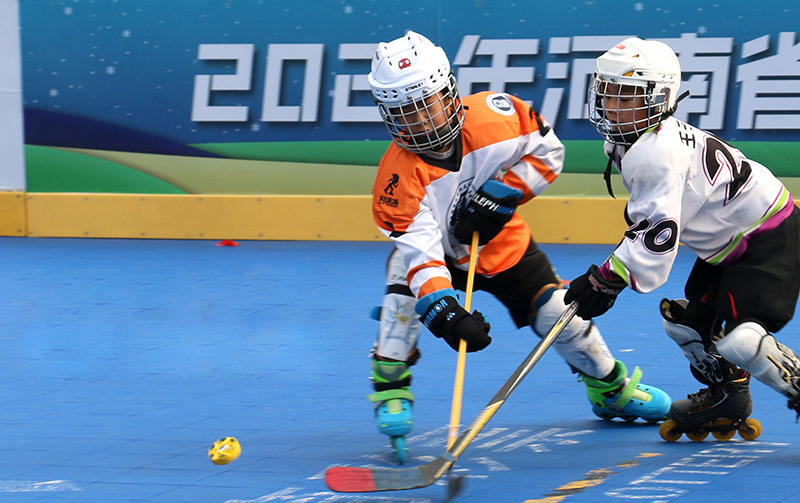 Hockey helmet-Q01(图9)