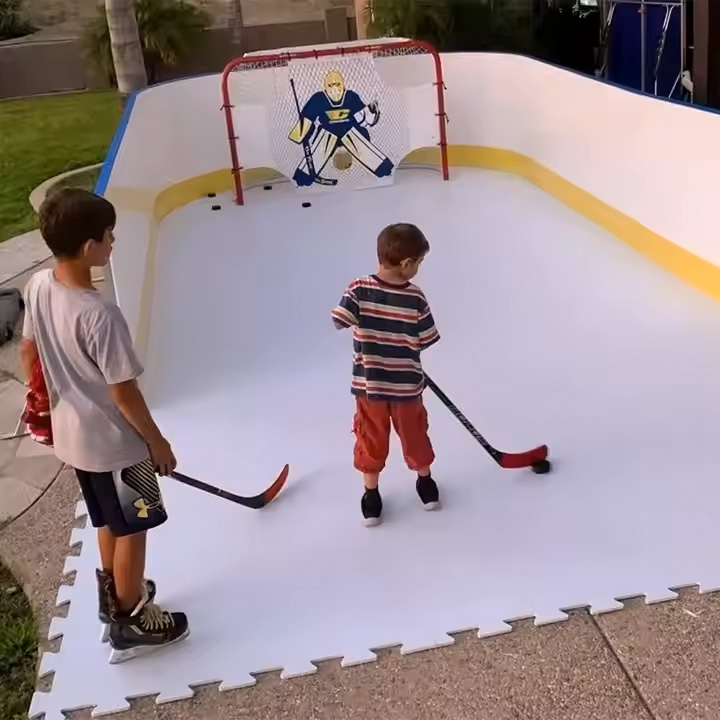 Ice skating floor(图9)